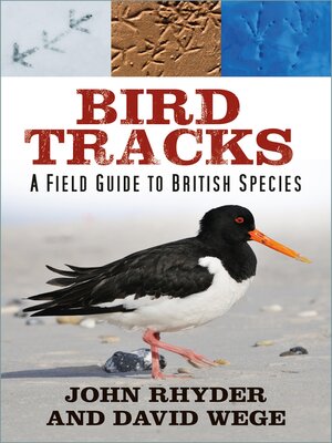cover image of Bird Tracks